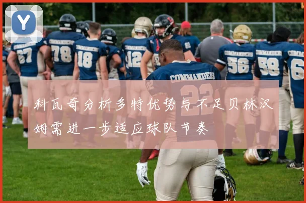 科瓦奇分析多特优势与不足贝林汉姆需进一步适应球队节奏