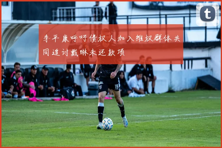 李平康呼吁债权人加入维权群体共同追讨戴琳未还款项