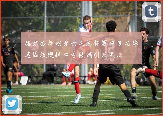 赫尔城与切尔西足总杯赛中多名球迷因歧视性口号被捕引发关注